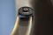 Фото - Робот-пилосос Shark Detect Pro Max with Auto Empty System RV2800ZEEU | click.ua