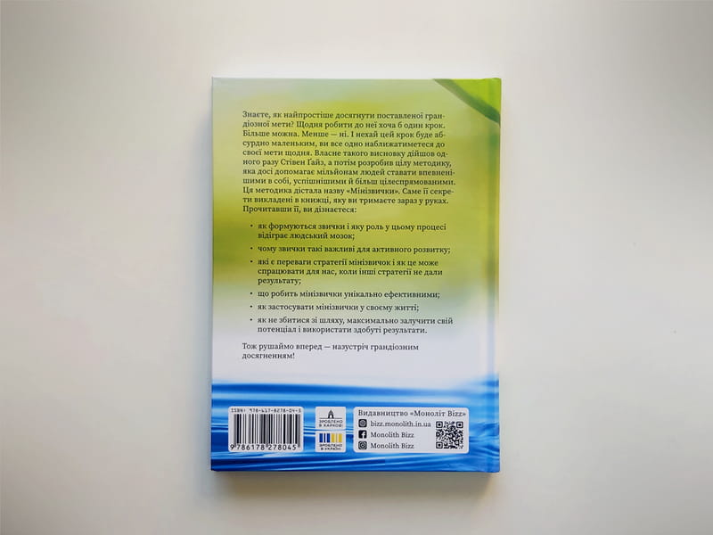 Мінізвички. Маленькі кроки до значних здобутків / Стівен Ґайз
