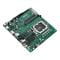 Фото - Материнская плата Asus Pro H610T-CSM Socket 1700 | click.ua