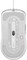 Фото - Мышь Lenovo Legion M300s RGB Gaming Mouse Stingray White (GY51H47351) USB | click.ua