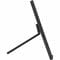 Фото - Монiтор Asus 15.6" ZenScreen MB169CK (90LM0AZ3-B01171) IPS Black | click.ua