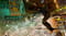 Фото - Гра Sleeping Dogs Definitive Edition для PlayStation 4, Blu-ray (SDOGD4EN0) | click.ua