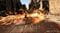 Фото - Гра Forspoken Standard Edition для PlayStation 5, Blu-ray (5030938125327) | click.ua