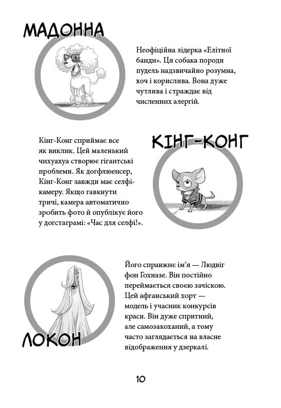 Уличная банда. Книга 1: Лапа лапу моет / Келли Стронк