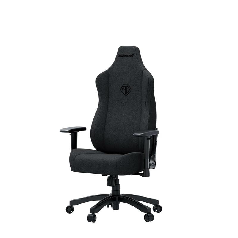 Кресло для геймеров Anda Seat Novis Size L Dark Gray (AD23-L-01-GB-F)