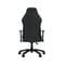 Фото - Кресло для геймеров Anda Seat Luna Size L Dark Gray Fabric (AD18-44-GB-F) | click.ua
