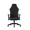 Фото - Кресло для геймеров Anda Seat Luna Size L Dark Gray Fabric (AD18-44-GB-F) | click.ua