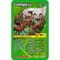Фото - Настільна гра Winning Moves Top Trumps Dinosaurs (WM01572-EN1-6) | click.ua
