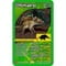 Фото - Настільна гра Winning Moves Top Trumps Dinosaurs (WM01572-EN1-6) | click.ua