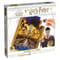 Фото - Пазл Winning Moves Harry Potter Great Hall 500 pcs (WM01005-ML1-6) | click.ua