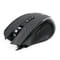 Фото - Миша A4Tech X87 Oscar Neon Black USB | click.ua