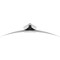 Фото - Монитор Samsung 48.7" Odyssey G9 49DG910 (LS49DG910SIXUA) OLED Silver Curved 144Hz | click.ua
