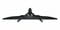 Фото - Монiтор Samsung 27" Odyssey G5 (LS27FG532EIXUA) IPS Black 200Hz | click.ua