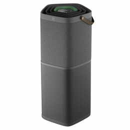 Очиститель воздуха Electrolux EPO60771DG