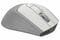 Фото - Миша бездротова A4Tech FG30S Grey/White | click.ua