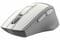 Фото - Миша бездротова A4Tech FG30S Grey/White | click.ua