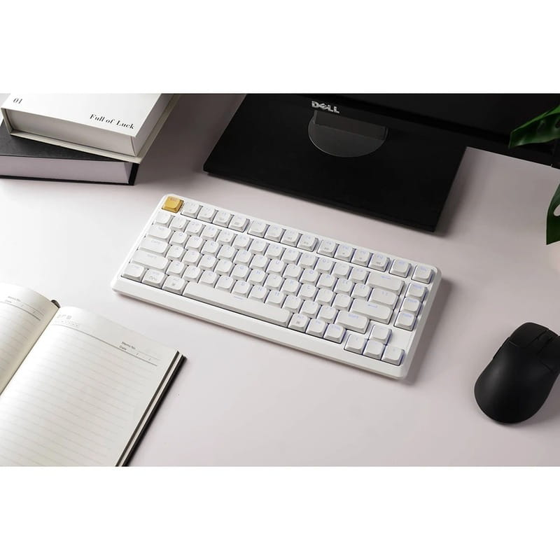Клавиатура беспроводная Keychron J1, K Pro Brown, Hot-Swap, RGB White (J1-Q3-UA)