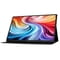 Фото - Монитор Acer 15.6" PM161QTbmiuuux (UM.ZP1EE.007) IPS Black 100Hz | click.ua