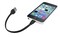 Фото - Кабель Trust Urban Flat USB - Lightning 0.2m, Black (20131) | click.ua