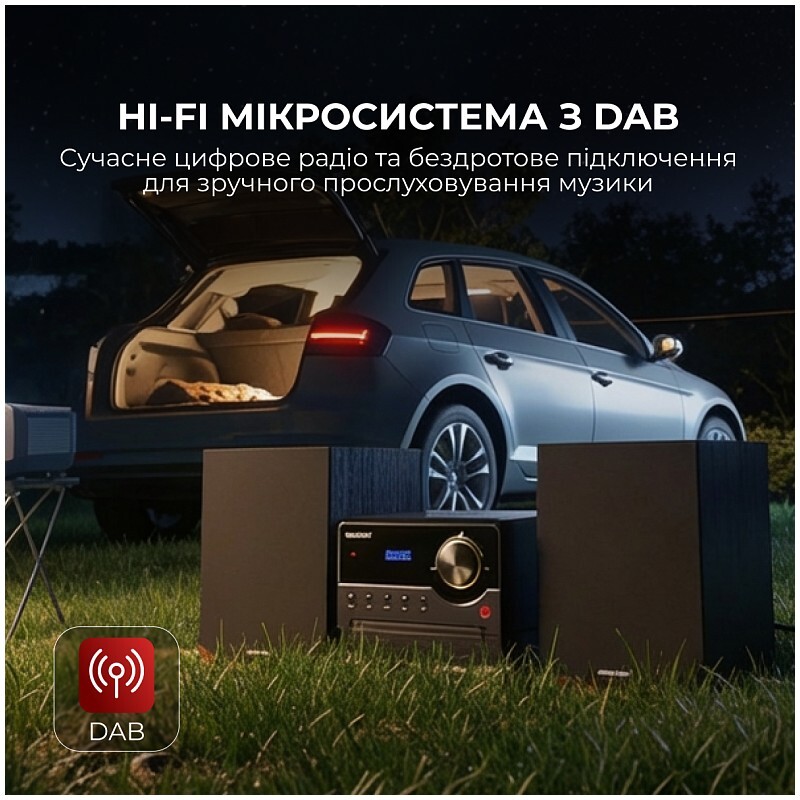 Мікросистема Sharp Micro Sound System Brown (XL-B517D(BR))