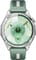 Фото - Смарт-годинник Huawei Watch GT 6 46mm Steel with Green Woven Strap (55020FTV) | click.ua