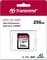 Фото - Карта памяти SDXC 256GB UHS-I/U3 Class 10 Transcend Ultra Performance 340S (TS256GSDC340S) | click.ua