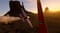 Фото - Игра Microsoft Flight Simulator 2024 для PlayStation 5, Blu-ray (1187140) | click.ua