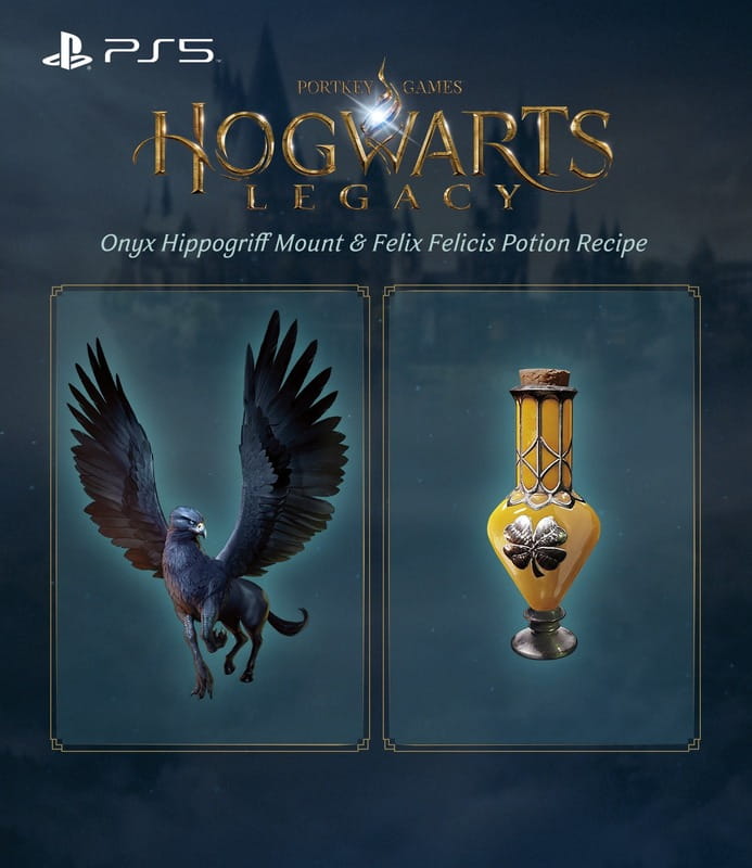 Игра Hogwarts Legacy для PlayStation 5, Blu-ray (1194246)