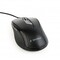 Фото - Миша Gembird MUS-6B-01 Black | click.ua
