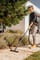 Фото - Пилосос Karcher WD 3 V-17/4/20 (1.628-130.0) | click.ua