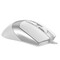 Фото - Миша A4Tech Fstyler FM50S Plus White | click.ua