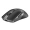 Фото - Миша бездротова A4Tech Fstyler FB50C Plus Black | click.ua