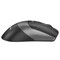 Фото - Миша бездротова A4Tech Fstyler FB50C Plus Black | click.ua