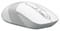 Фото - Мышь беспроводная A4Tech FG10S White USB | click.ua