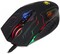 Фото - Мышь Bloody Q50 Battlefield Black | click.ua