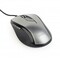 Фото - Мышь Gembird MUS-6B-01-BG Black/Grey | click.ua
