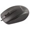 Фото - Мышь Esperanza Titanum TM110K Black USB V-Track | click.ua