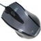 Фото - Миша A4Tech N-500F-1 Glossy Grey V-Track | click.ua