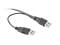 Фото - Адаптер Cablexpert USB - Slim SATA II (M/M), 0.5 м, чорний (A-USATA-01) | click.ua