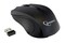 Фото - Мышь беспроводная Gembird MUSW-101 Black | click.ua