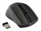 Фото - Мышь беспроводная Gembird MUSW-101 Black | click.ua