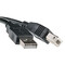 Фото - Кабель PowerPlant (KD00AS1221) USB2.0(AM)-USB2.0(BM), 3м, Black, one ferrite | click.ua