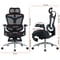 Фото - Крісло офісне Sihoo Doro C300 Pro Mesh Black with footrest (Doro-C300-Pro-M101-JT) | click.ua