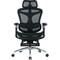 Фото - Крісло офісне Sihoo Doro C300 Pro Mesh Black with footrest (Doro-C300-Pro-M101-JT) | click.ua