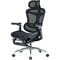 Фото - Крісло офісне Sihoo Doro C300 Pro Mesh Black with footrest (Doro-C300-Pro-M101-JT) | click.ua