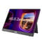 Фото - Монітор Asus 16" ZenScreen MB16FC (90LM0CB1-B01N71) IPS Black | click.ua