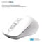 Фото - Мышь беспроводная OfficePro M265W White | click.ua
