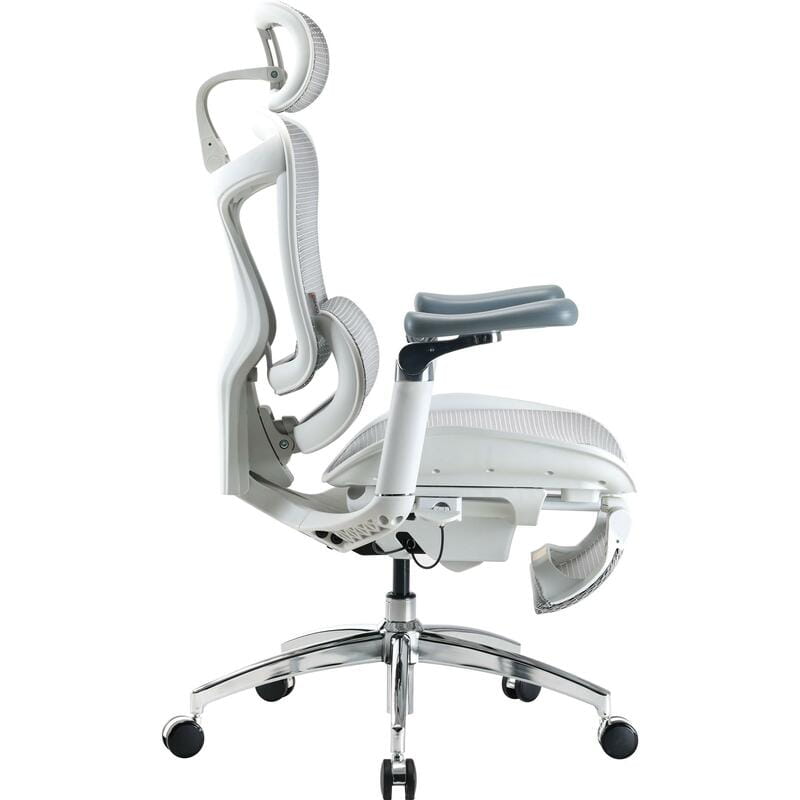 Крісло офісне Sihoo Doro C300 Pro Mesh White with footrest (Doro-C300-Pro-M102-JT)