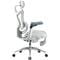 Фото - Крісло офісне Sihoo Doro C300 Pro Mesh White with footrest (Doro-C300-Pro-M102-JT) | click.ua