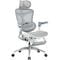 Фото - Крісло офісне Sihoo Doro C300 Pro Mesh White with footrest (Doro-C300-Pro-M102-JT) | click.ua